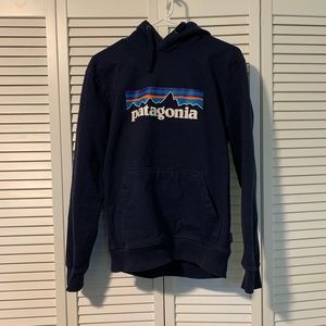 Patagonia men’s logo Hoodie